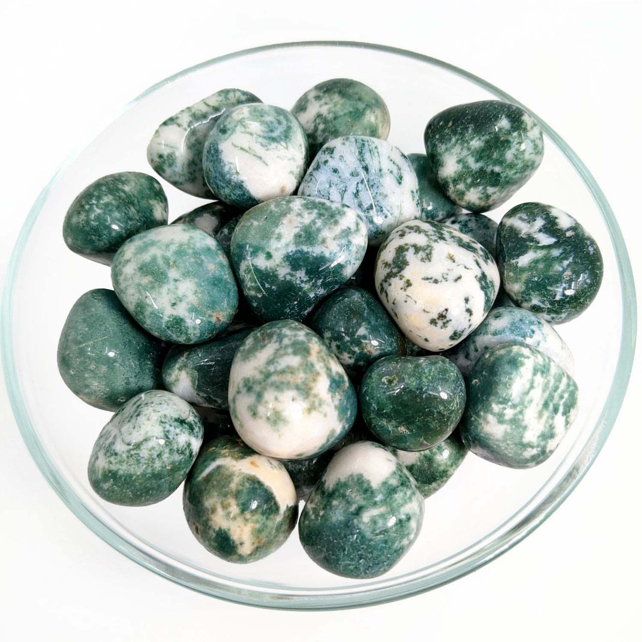 1 Moss Agate 1.1" Tumbled Stone (23.6g) #SK9079