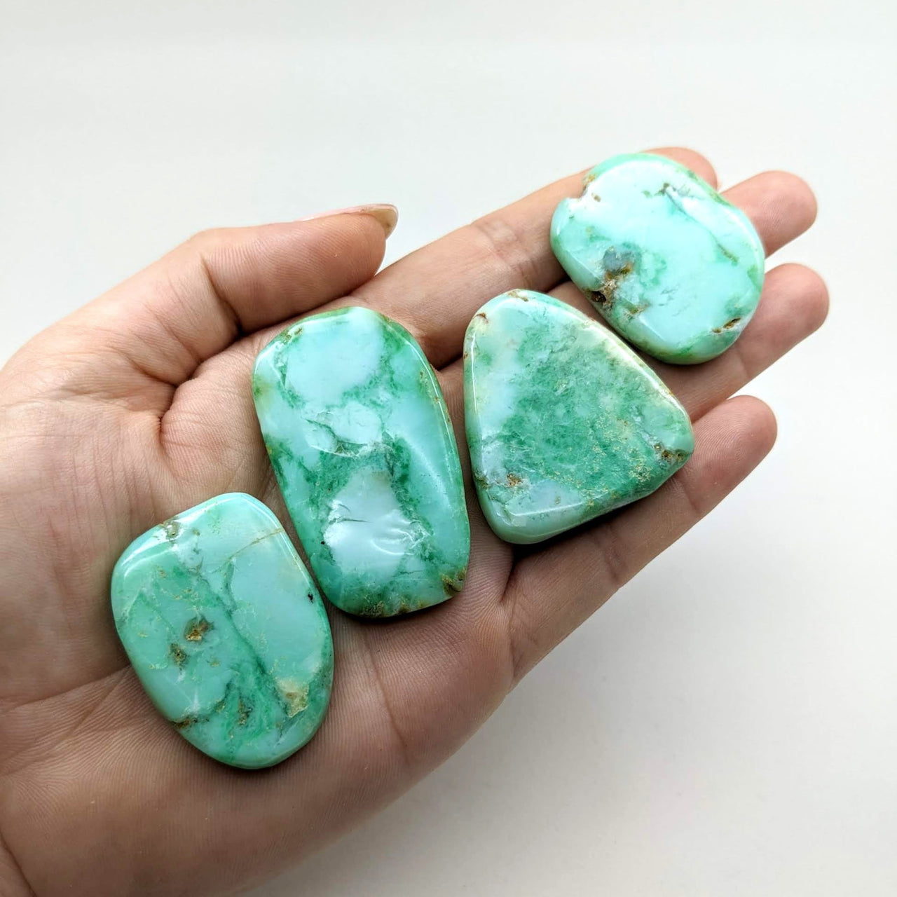 Person holding three flat, turquoise-green Opalized Chrysoprase stones #SK7178