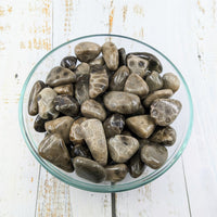 Thumbnail for Petoskey Stone Tumble #LV2373 in a bowl on white wooden table