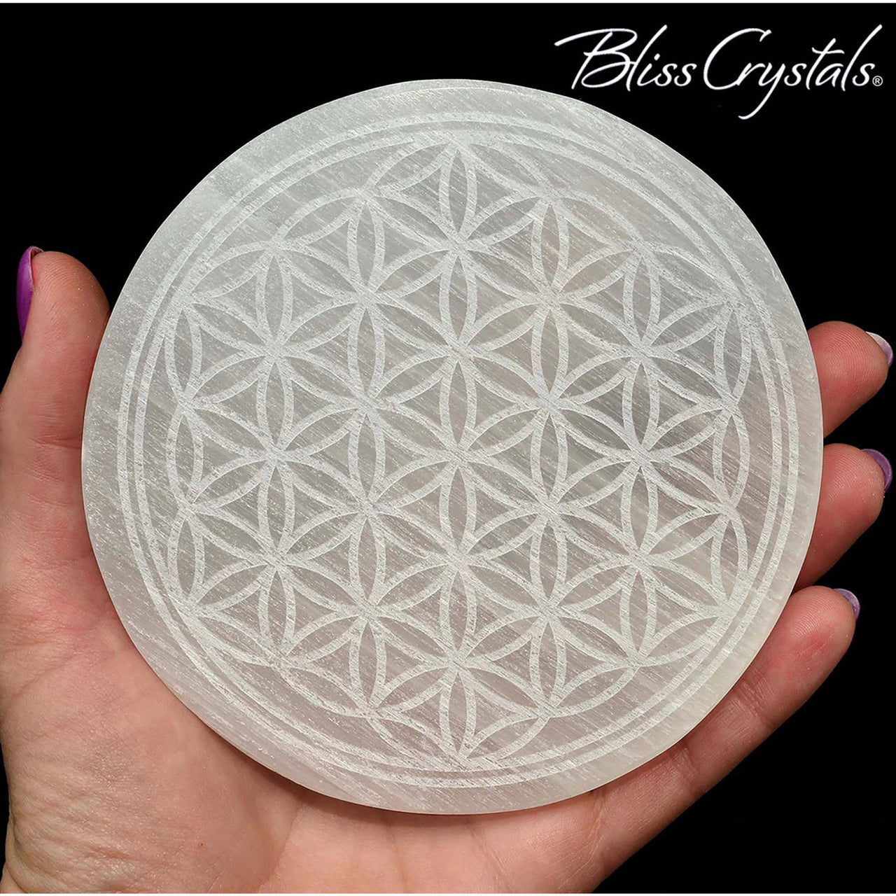 1 Selenite Round Plate w/ the Flower of Life Laser Etched 