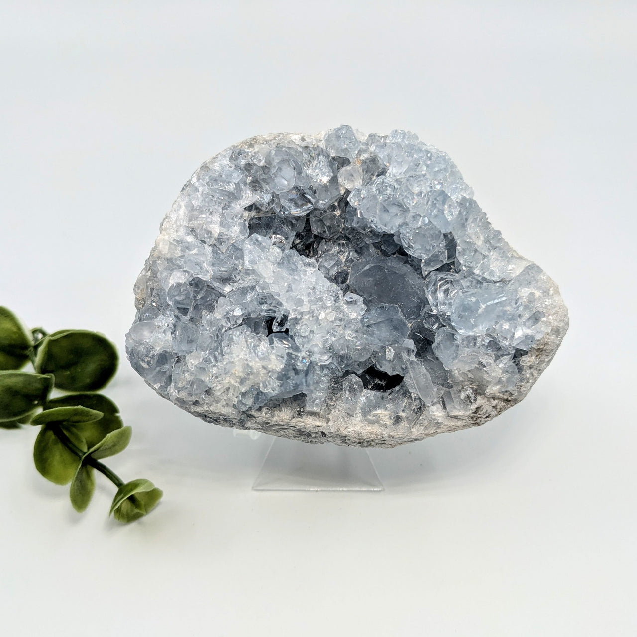 Celestite 3" Geode #LV5654