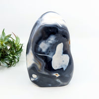 Thumbnail for Orca Agate 6.5