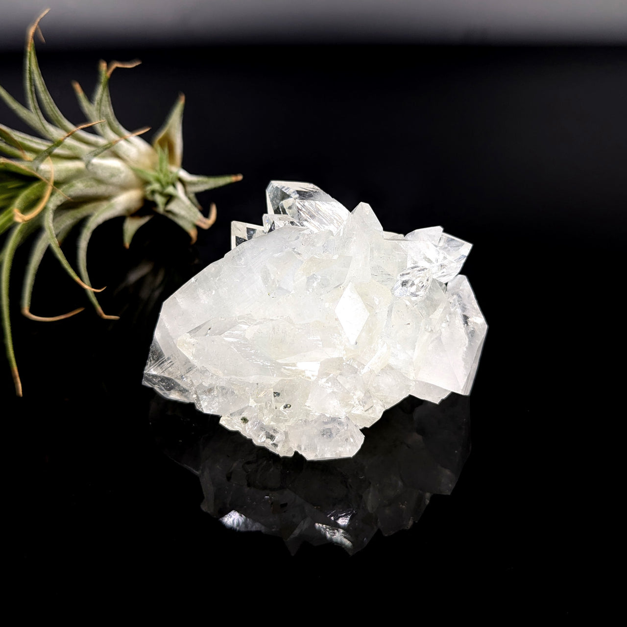 Diamond Apophyllite 2.5" Cluster #LV5630