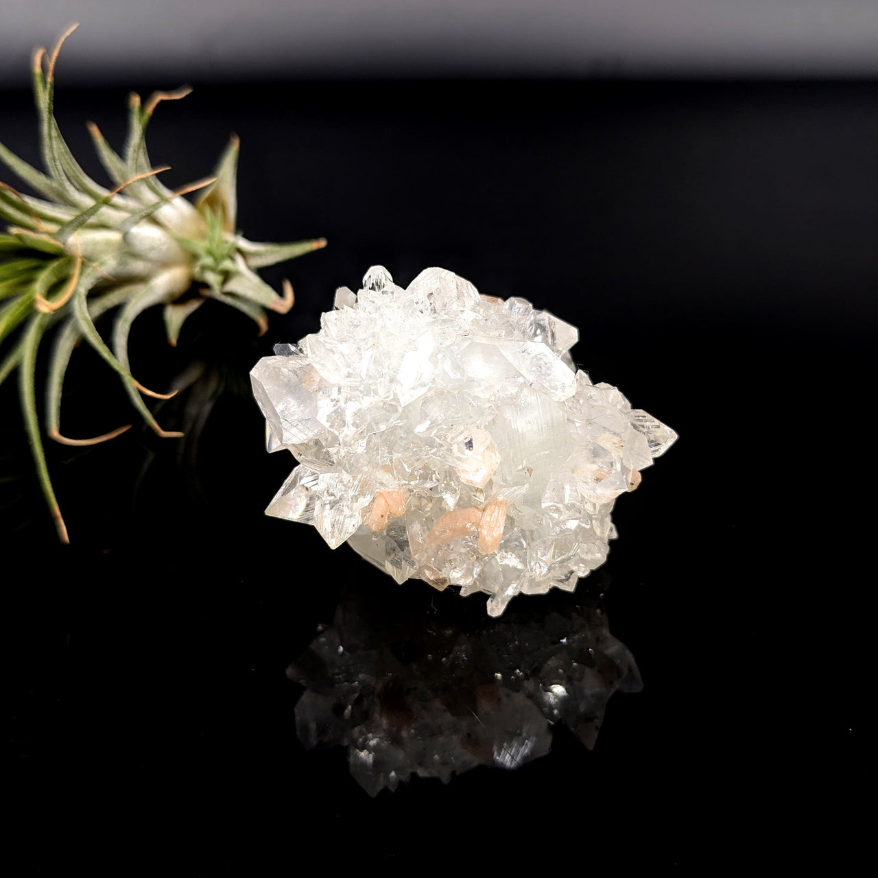 Diamond Apophyllite 1.9" Cluster #LV5631