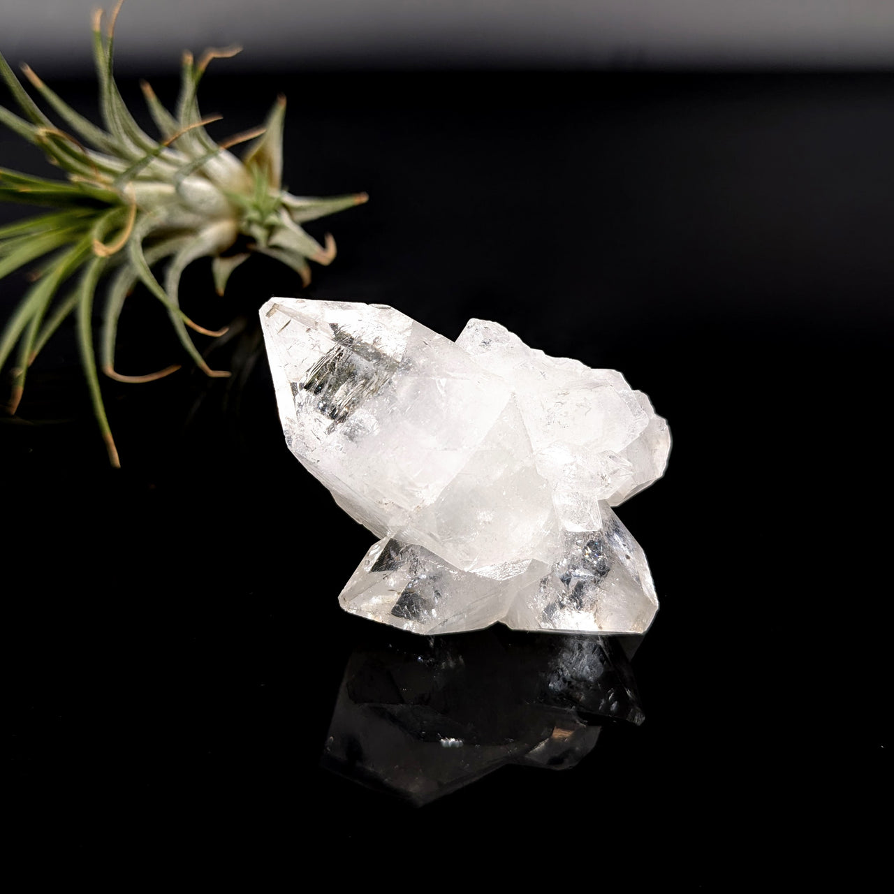 Diamond Apophyllite 2.2" Cluster #LV5634