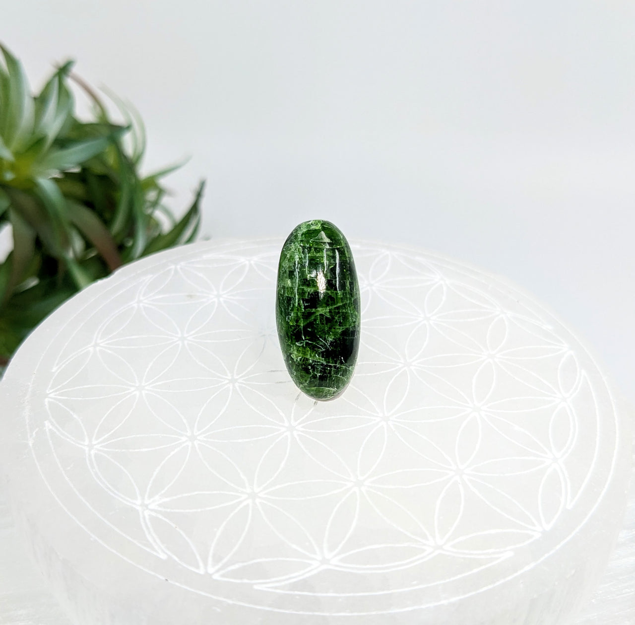 Chrome Diopside 1" Mini Pebble #LV5635