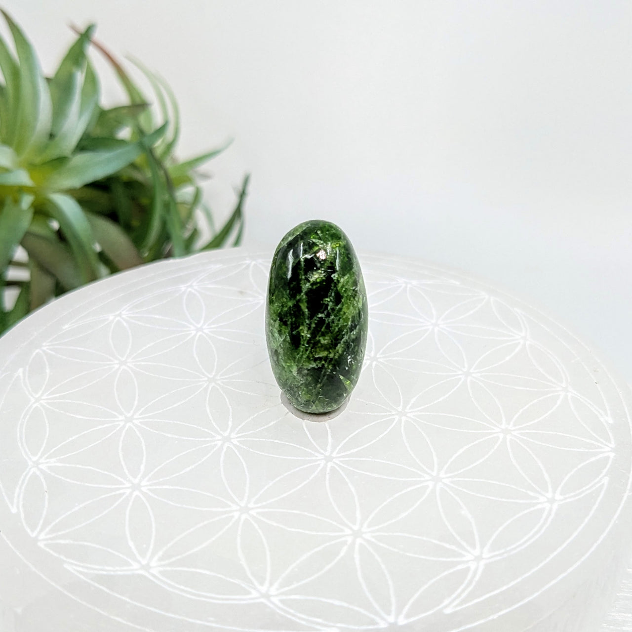 Chrome Diopside 1" Mini Pebble #LV5638