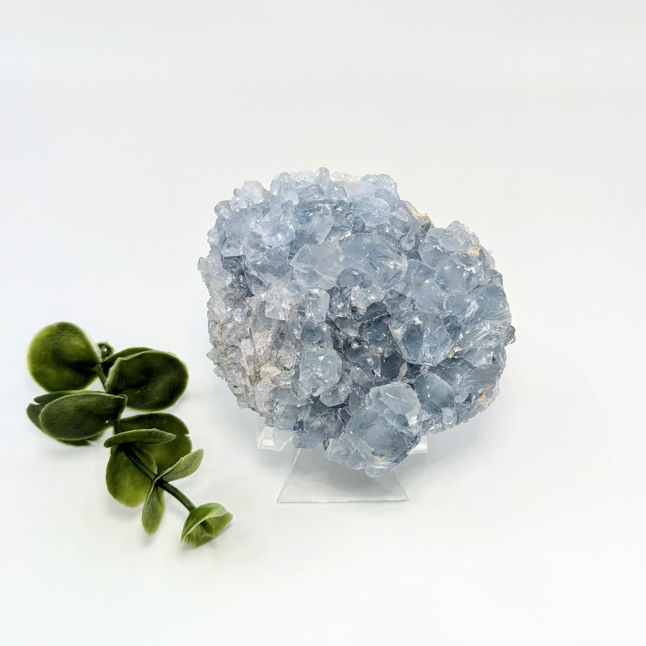 Celestite 3" Geode #LV5650