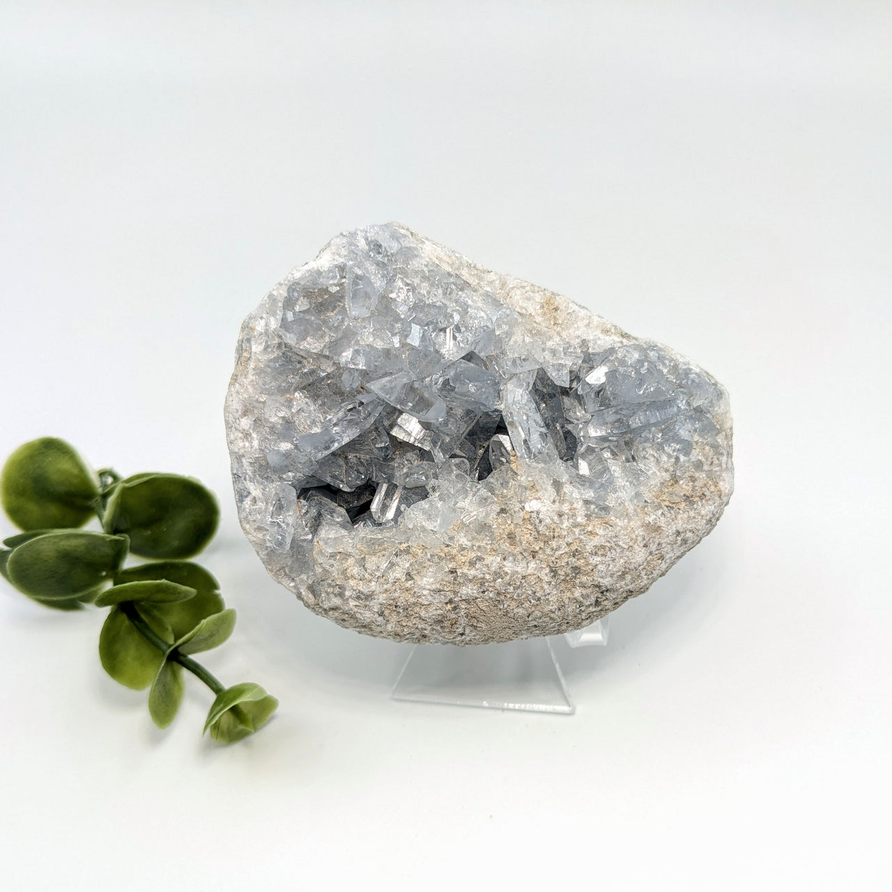 Celestite 3.2" Geode #LV5655