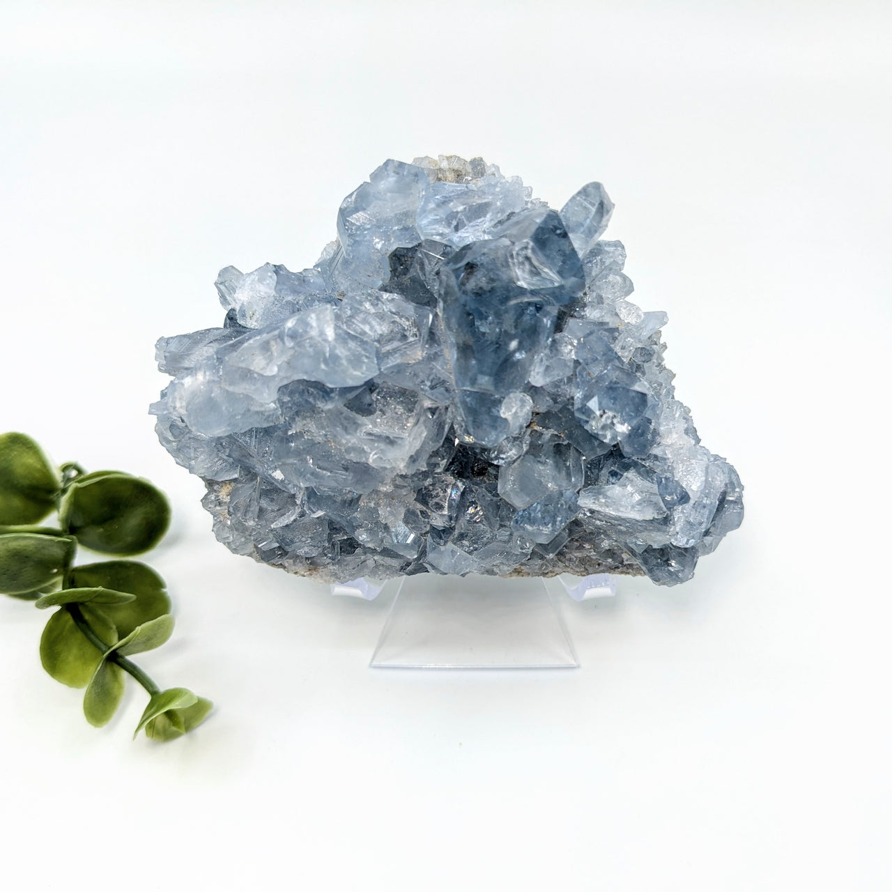 Celestite 3.9" Geode #LV5656