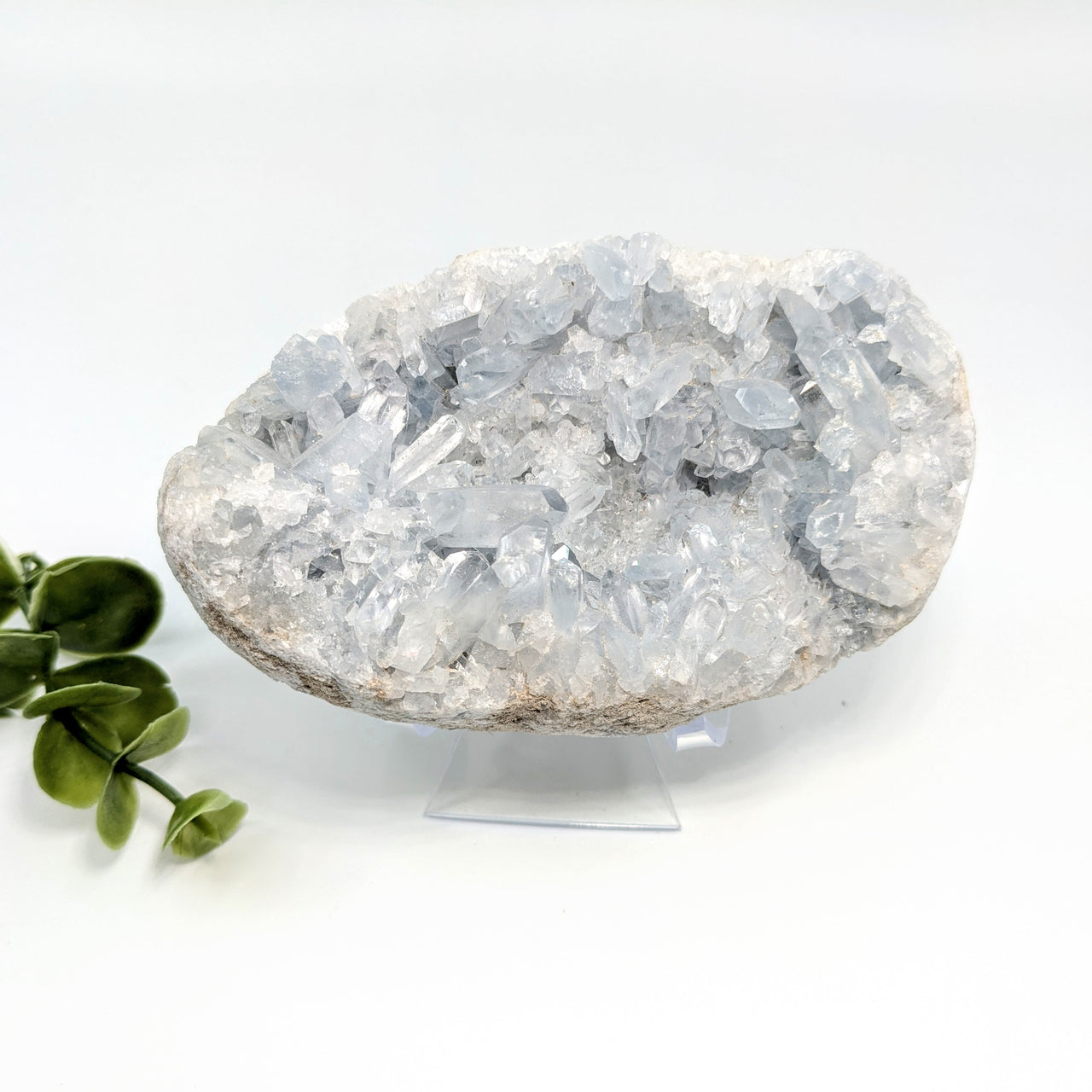 Celestite 4.3" Geode #LV5657