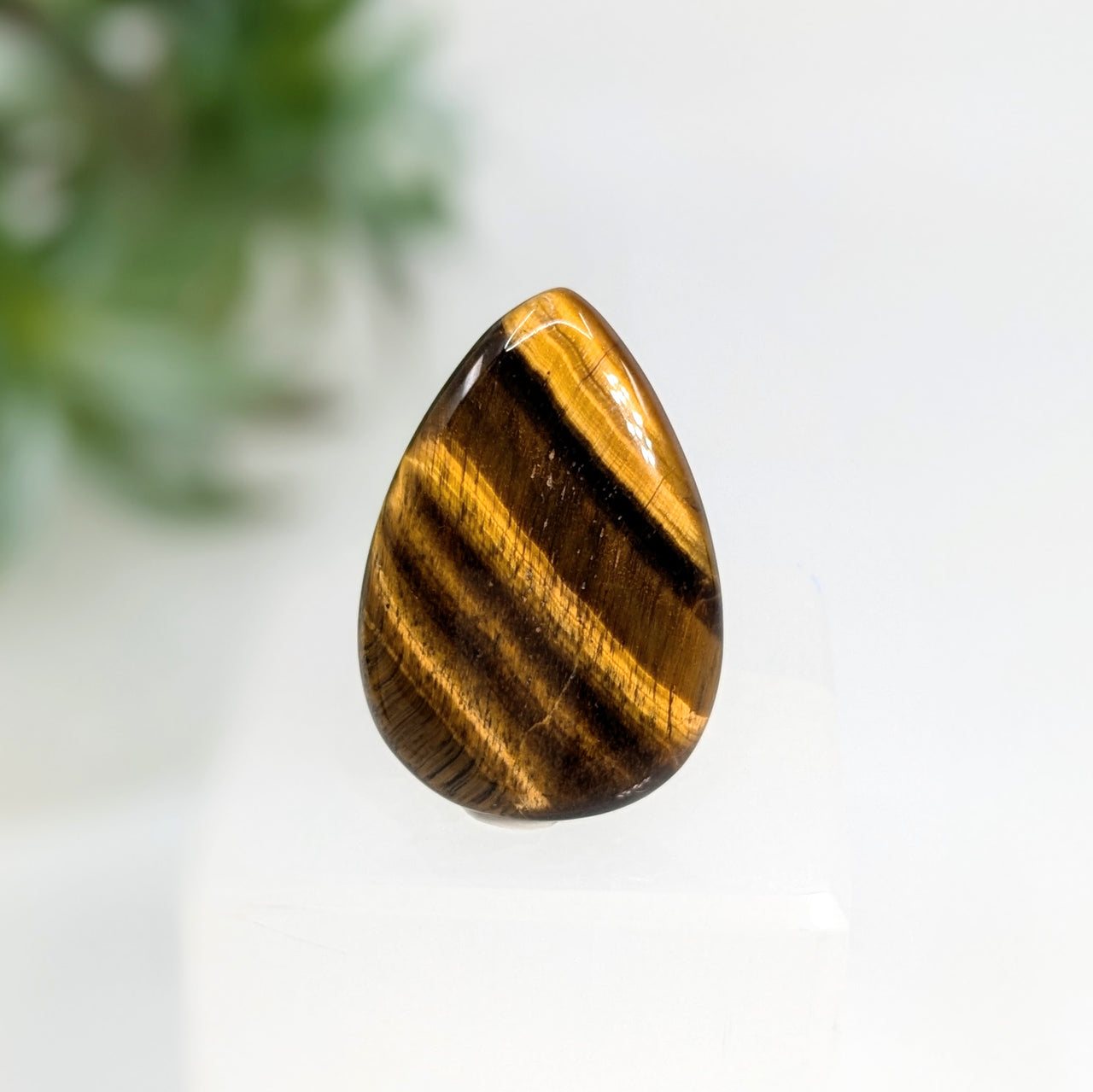 Tiger's Eye 1.57" Teardrop Cabochon #LV5831