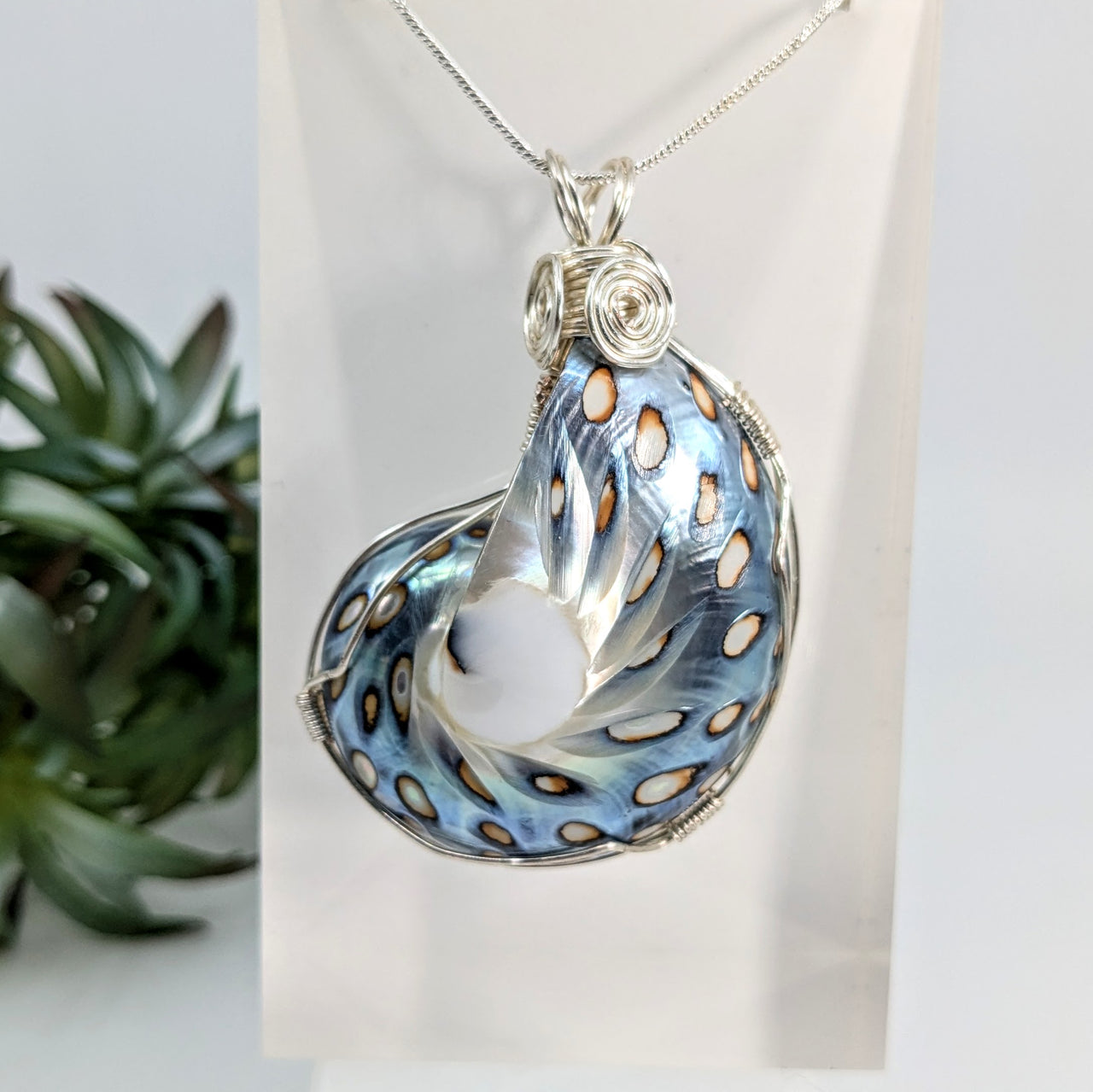 Nautilus Shell 2" S.S. Wire Wrapped Pendant #LV5878