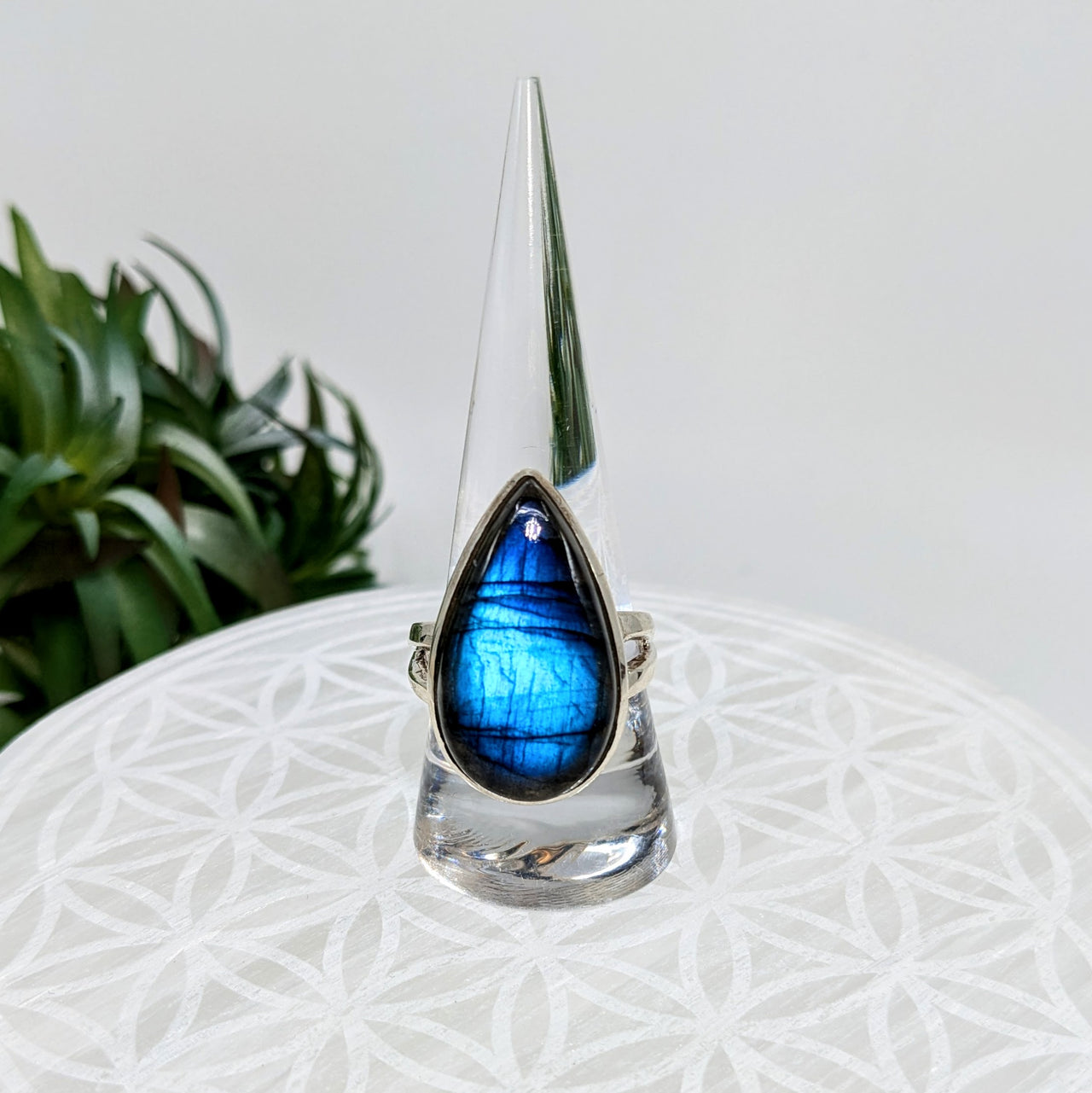 Labradorite  Sz 9.75  S.S. Ring #LV5952