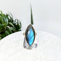 Thumbnail for Labradorite  Sz 9.75  S.S. Ring #LV5953