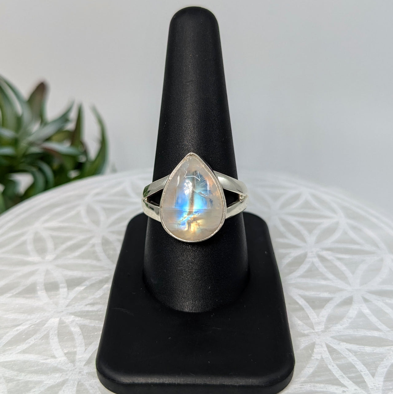 Rainbow Moonstone  Sz 10 S.S. Ring #LV5974