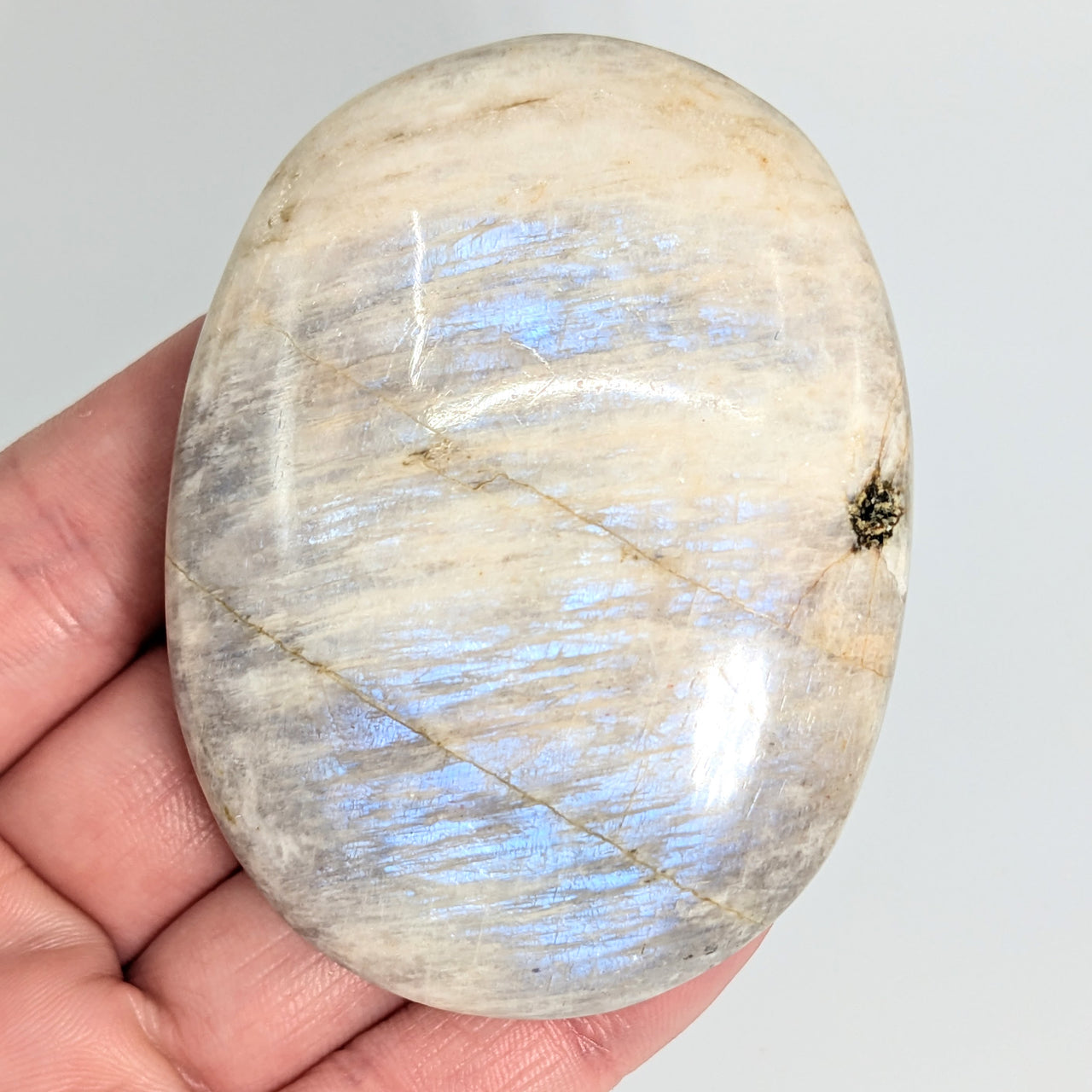 Iridescent Sunfire 2.5" Moonstone Palm #LV6006