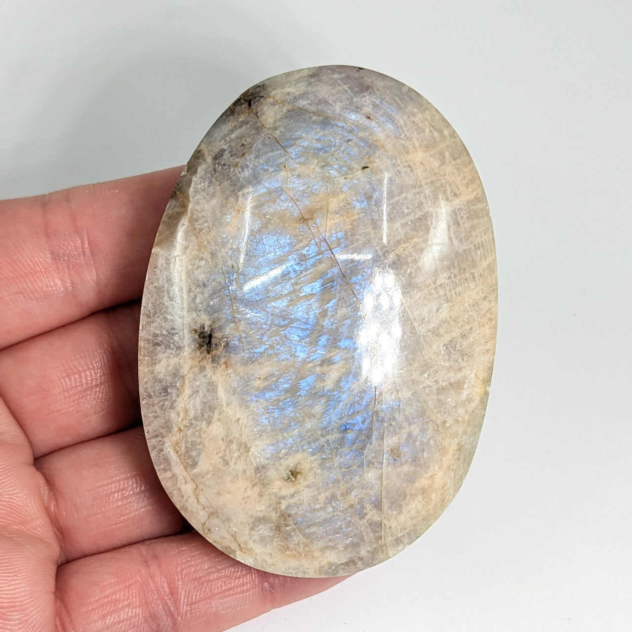 Iridescent Sunfire 2.5" Moonstone Palm #LV6013