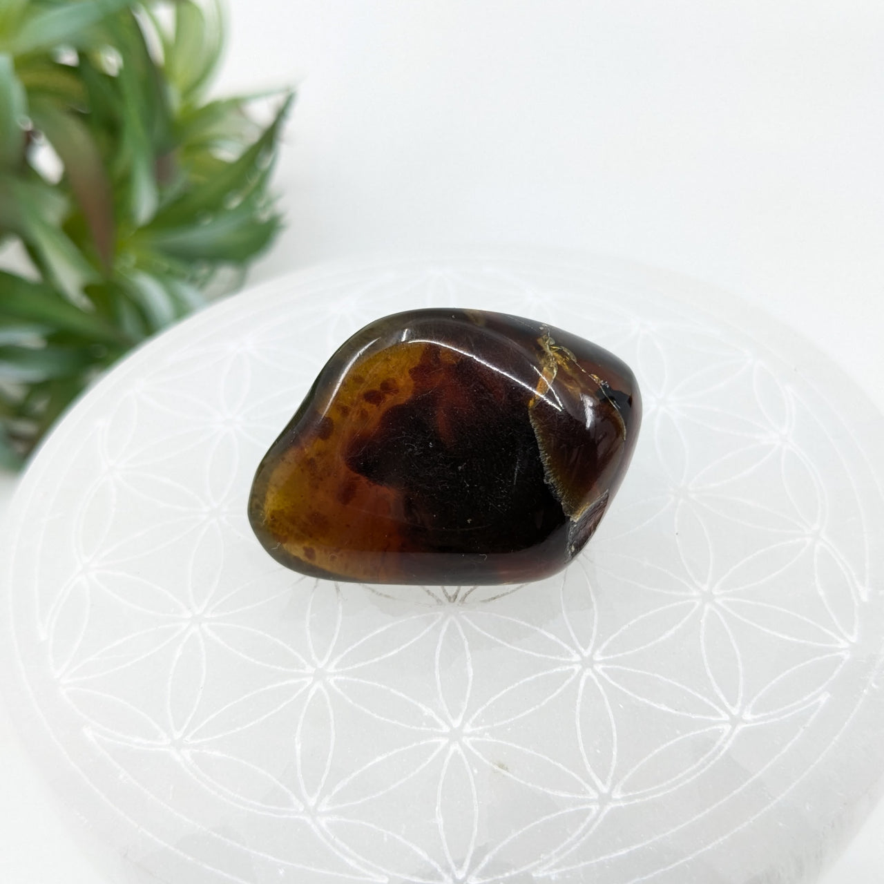 Amber 1.6" Pebble #LV6037