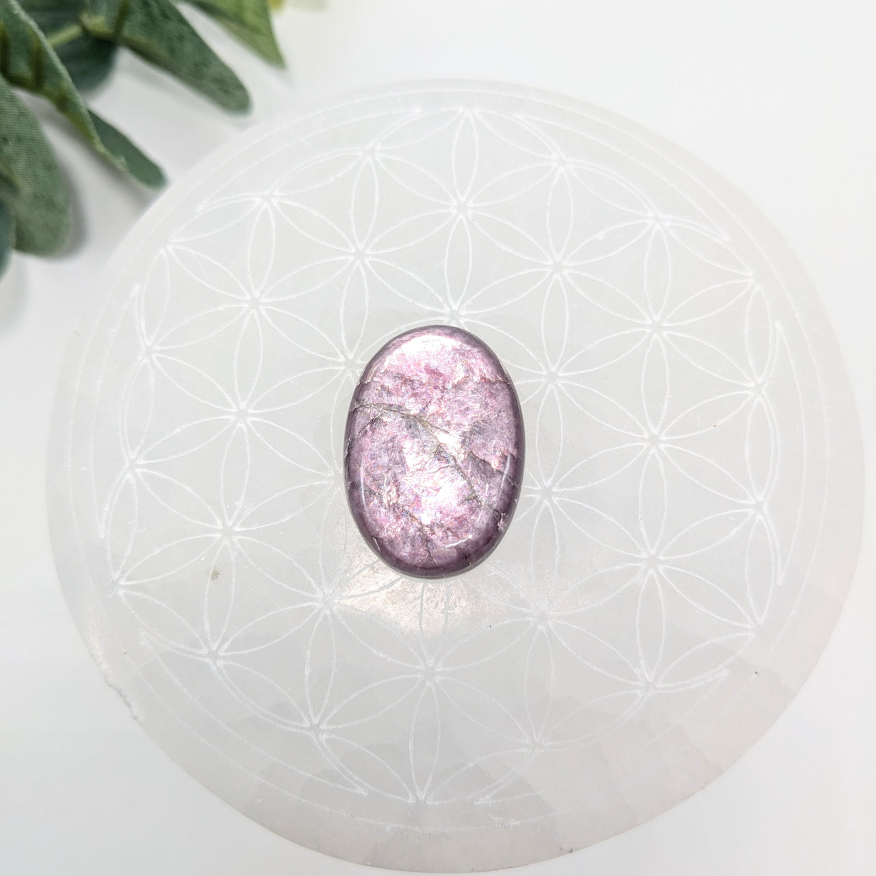 Gem Lepidolite  1.2" Oval Cabachon #LV6041