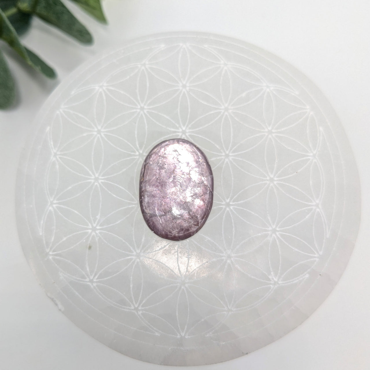 Gem Lepidolite  1" Oval Cabachon #LV6042