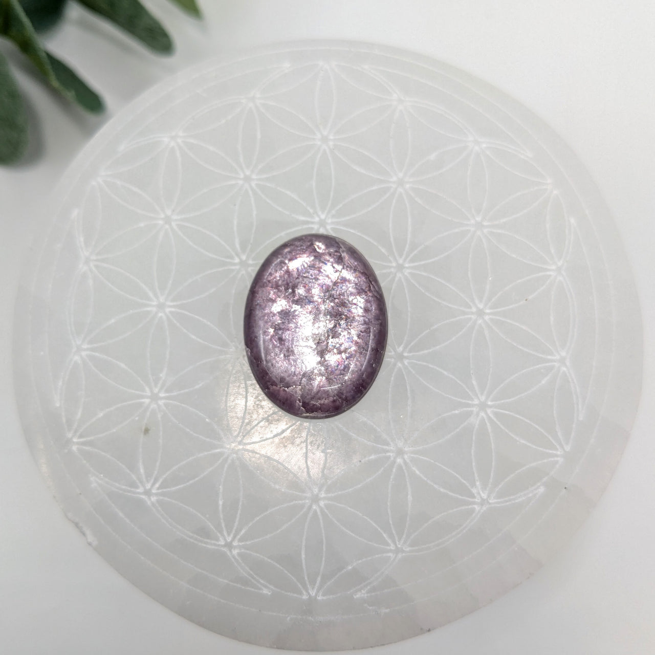 Gem Lepidolite  1" Oval Cabachon #LV6043