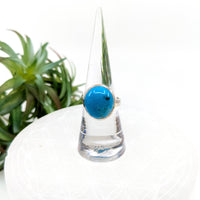 Thumbnail for Persian Turquoise Sz 7 Round S.S. Ring #LV6052