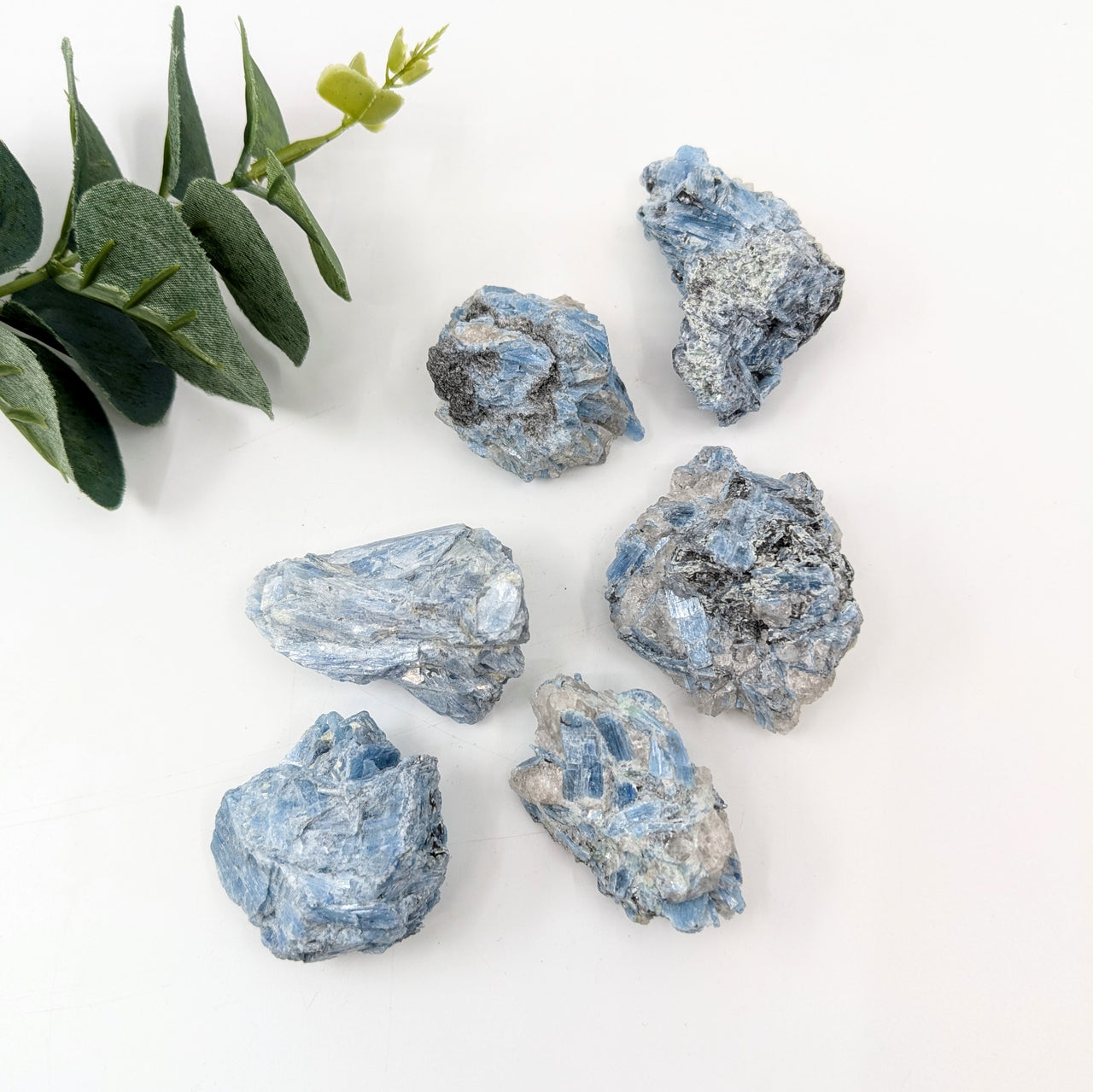 Paraiba Kyanite 1.2-2.3" Rough Specimen #LV6064