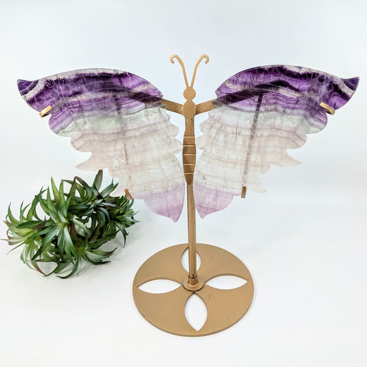 Fluorite  6" XL Butterfly & Stand #LV6209