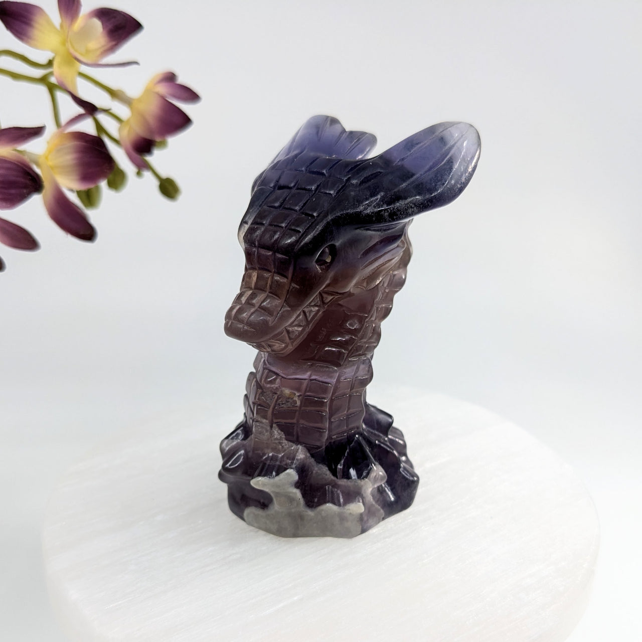 Purple Fluorite 3.1" Dragon Head #LV6218