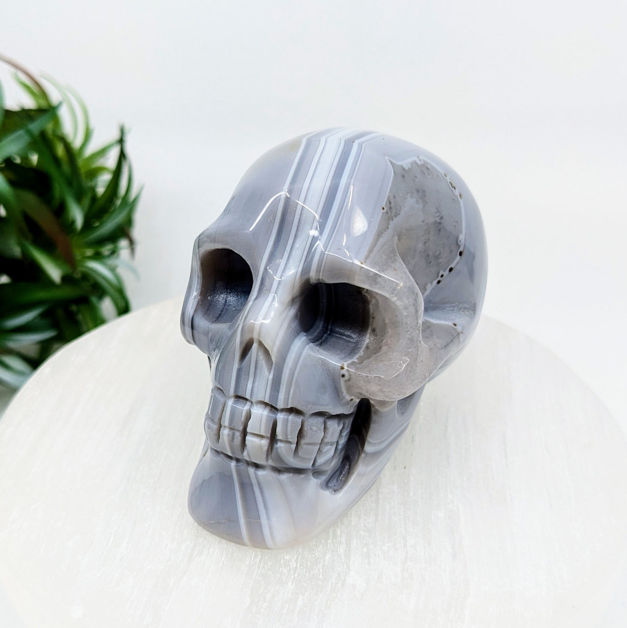 Grey Banded Agate 3.1" Skull #LV6235