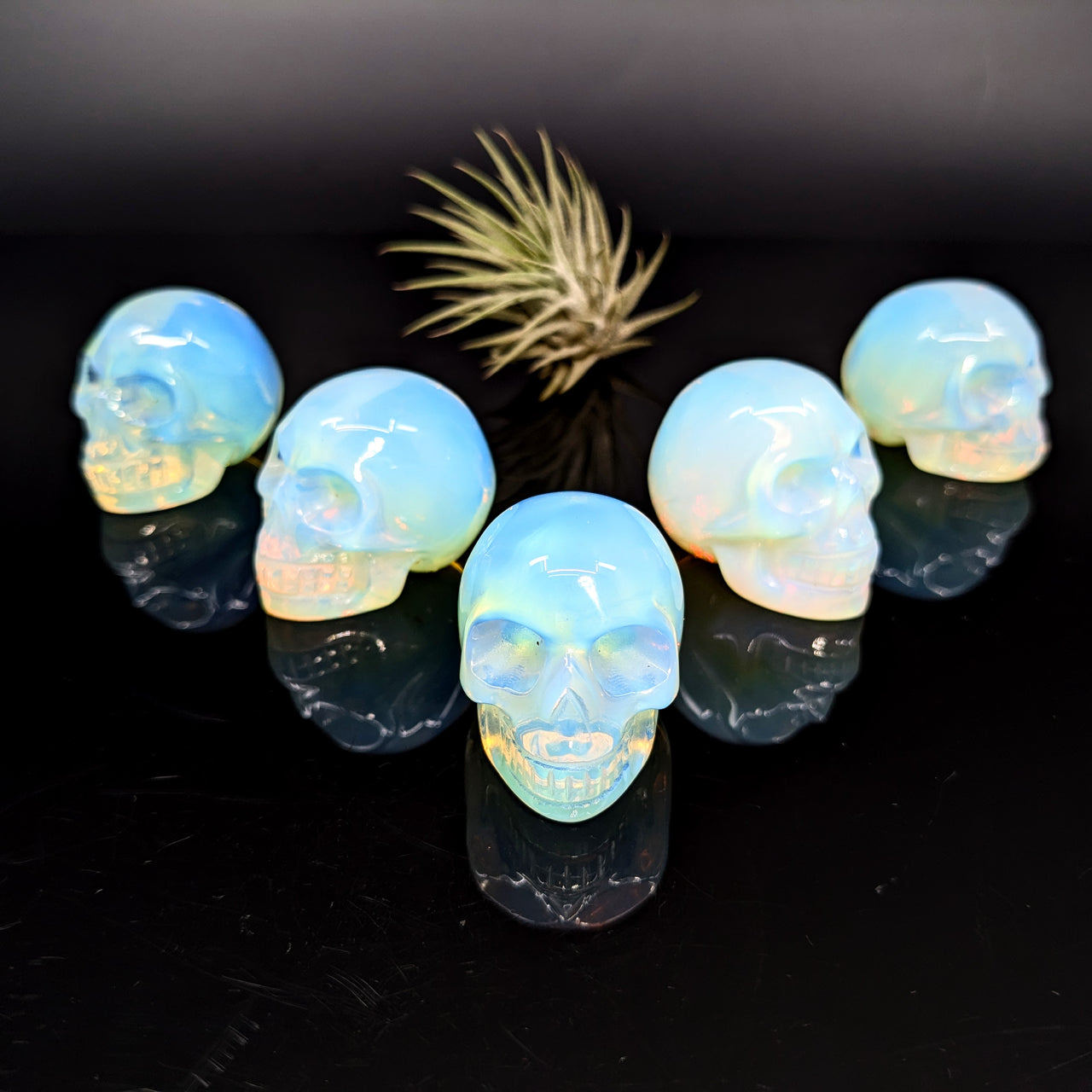 Opalite 1.5" Skull #LV6236