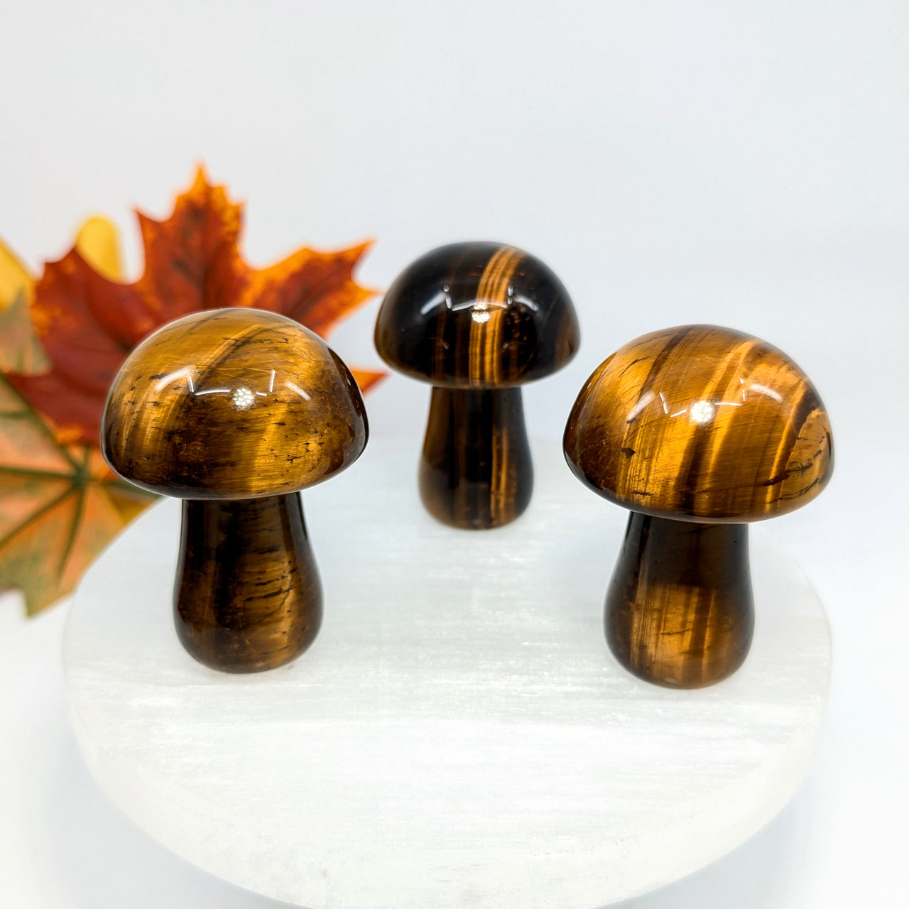 Tiger's Eye 1.9" Mushroom #LV6247