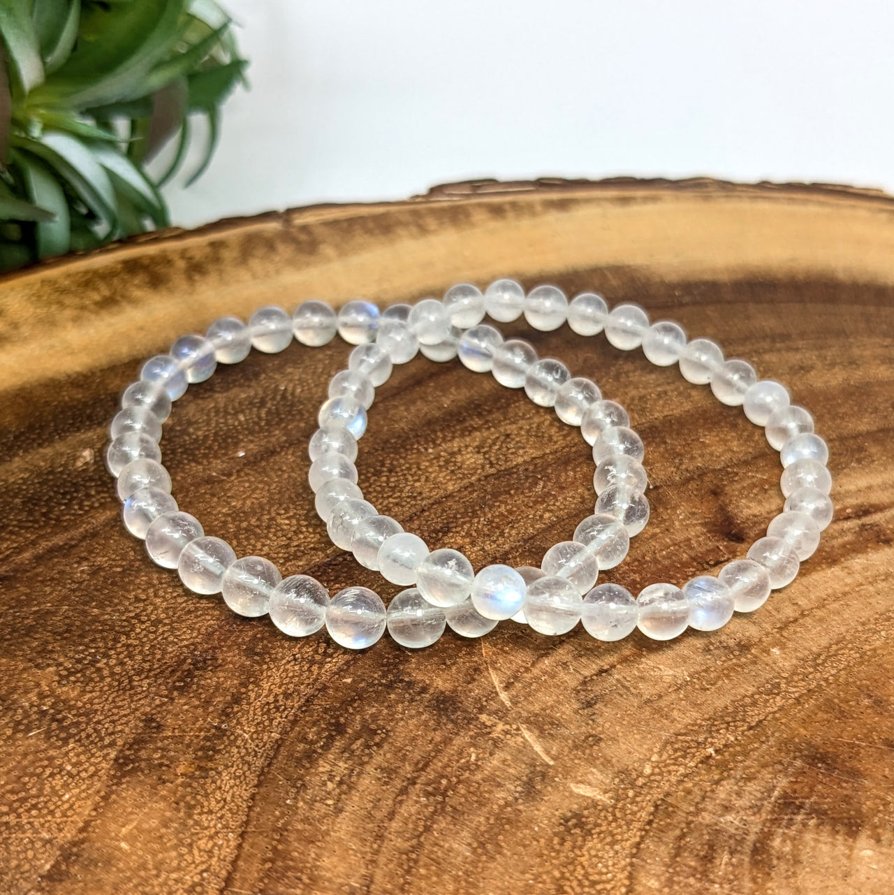 Moonstone Translucent 6mm Bracelet #LV6275