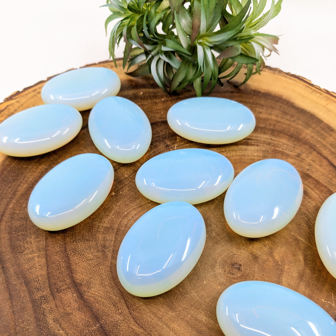 Opalite 2.3" Palm Stone #LV6284