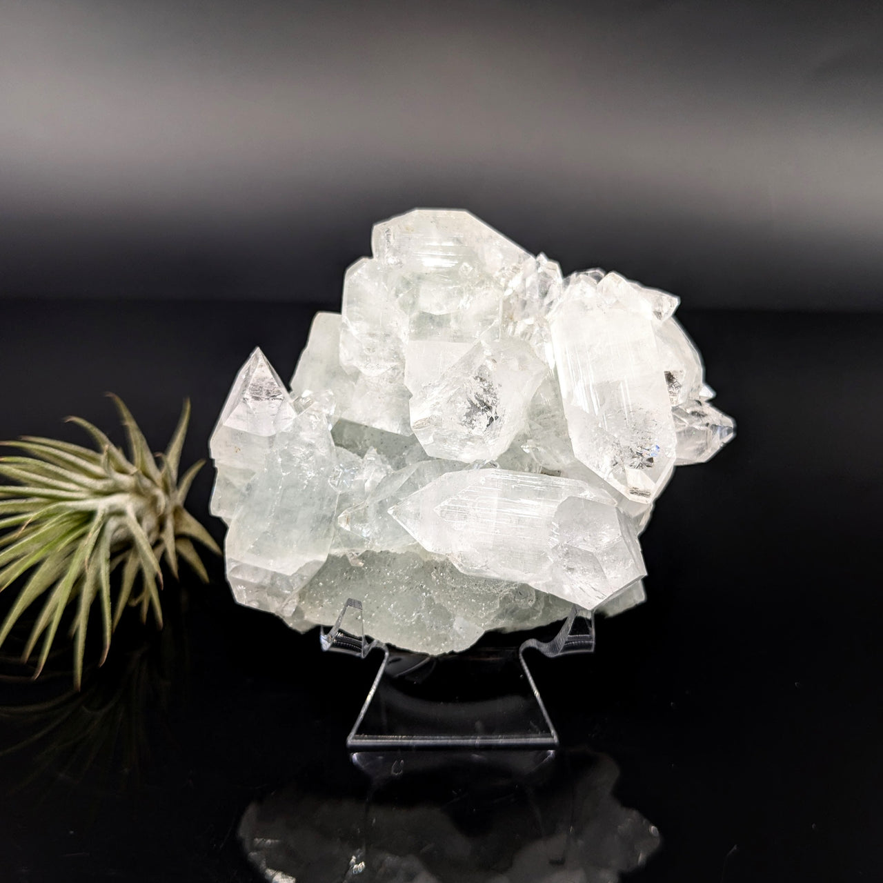 Diamond Apophyllite 3" Natural Cluster #LV6307