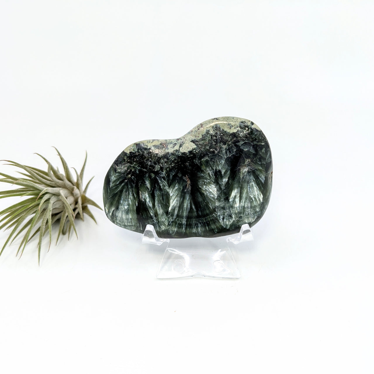 Seraphinite 2.5" Pebble #LV6309