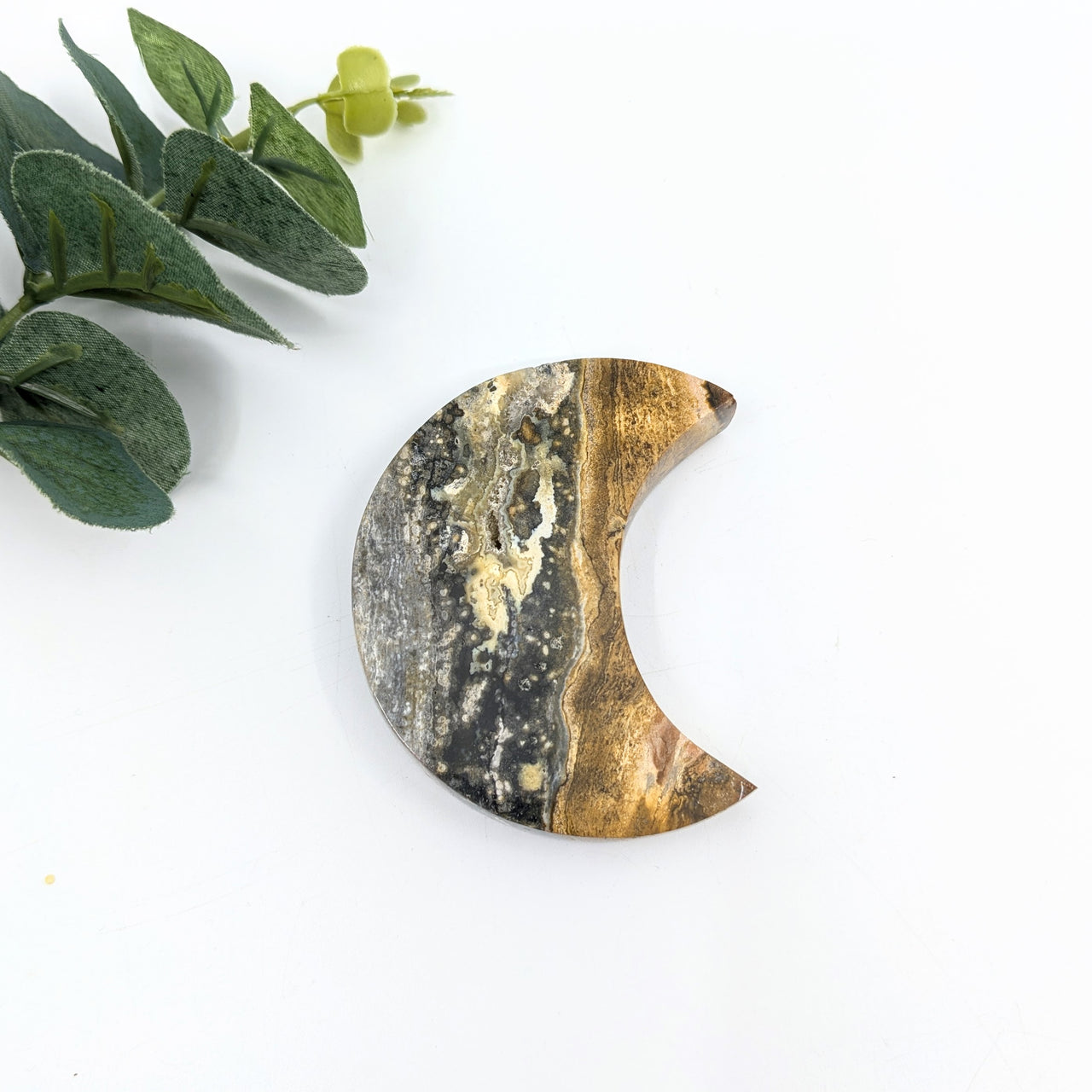 Ocean Jasper 2.8" Crescent Moon #LV6343