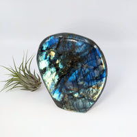 Thumbnail for Labradorite 5.3