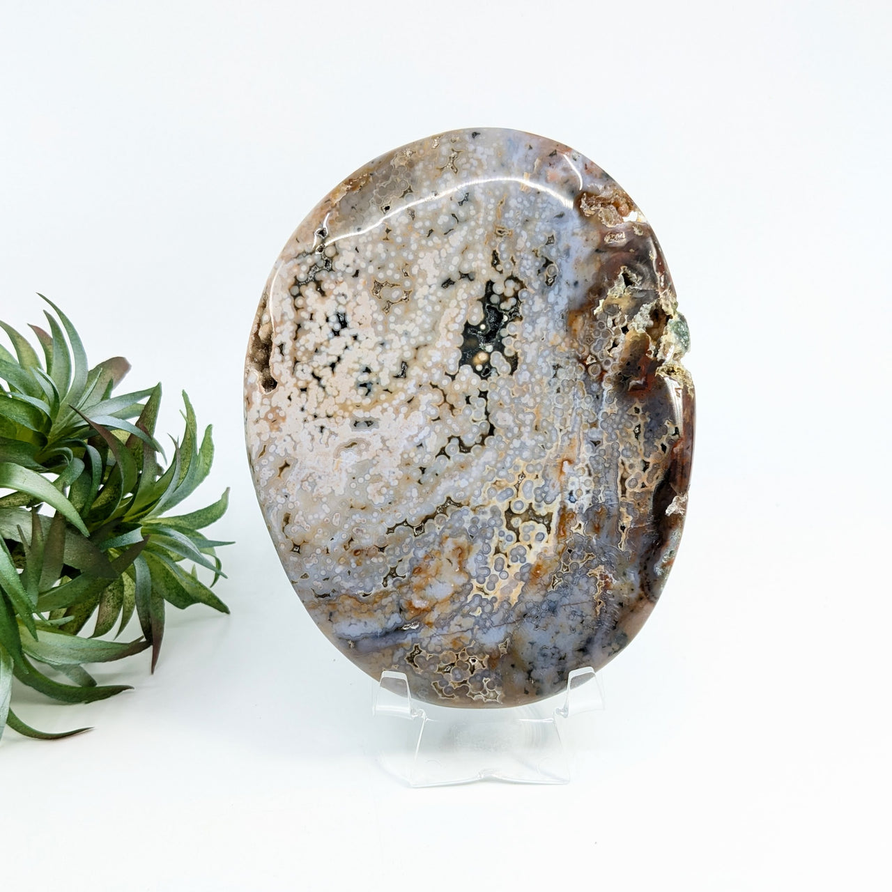 Ocean Jasper 5.4" Giant Polished Palm #LV6358