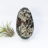 Thumbnail for Green Ocean Jasper 5.3