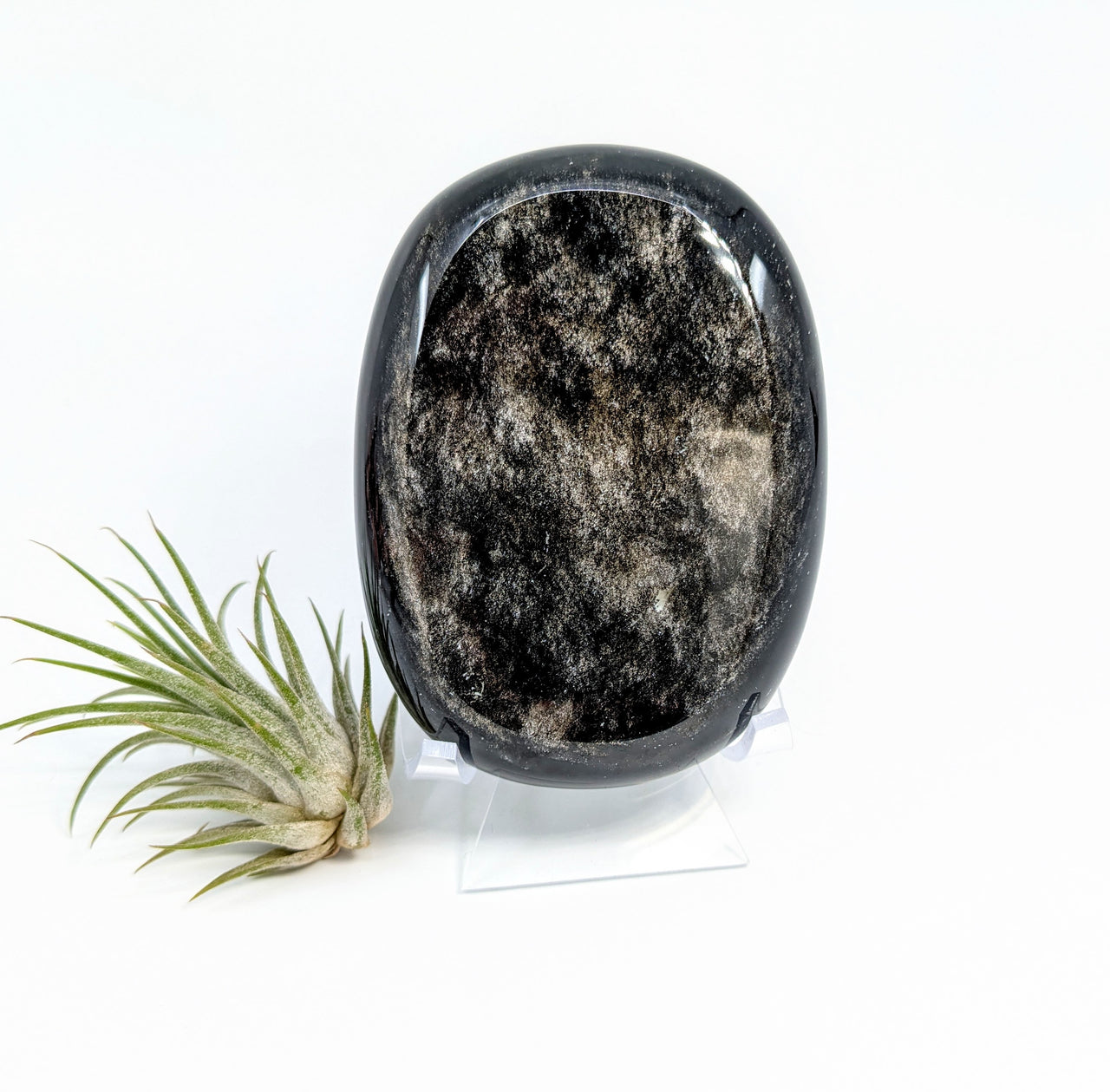 Silversheen Obsidian 3.3" Pebble Palm #LV6439