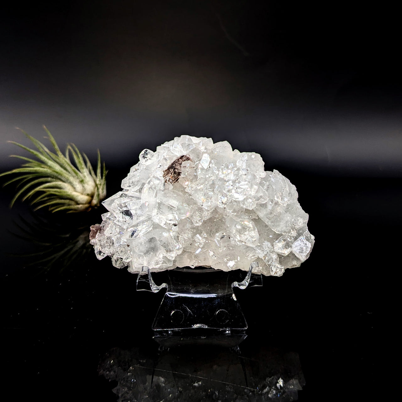 Diamond Apophyllite 3" Natural Cluster #LV6447