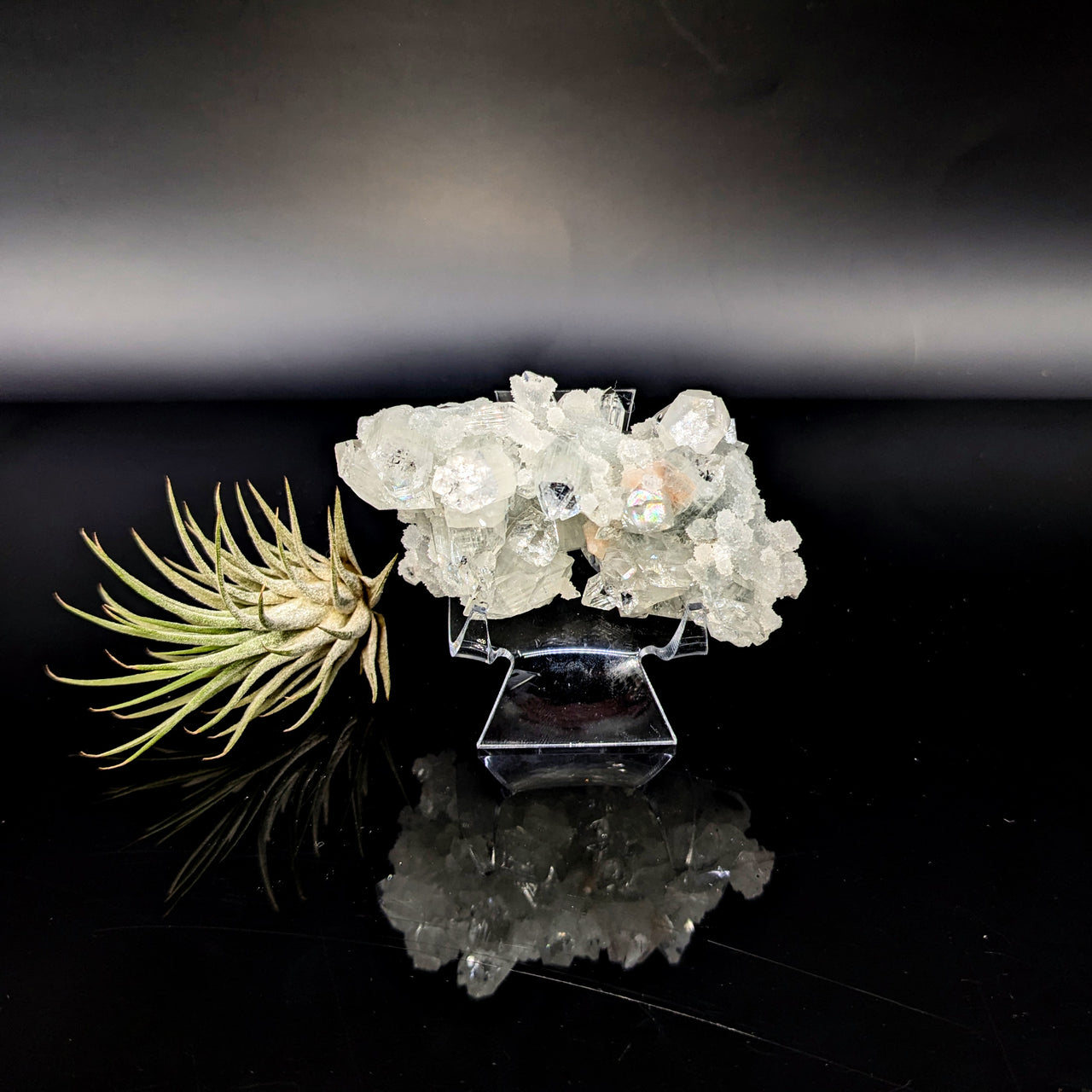 Diamond Apophyllite 3.1" Natural Cluster #LV6449