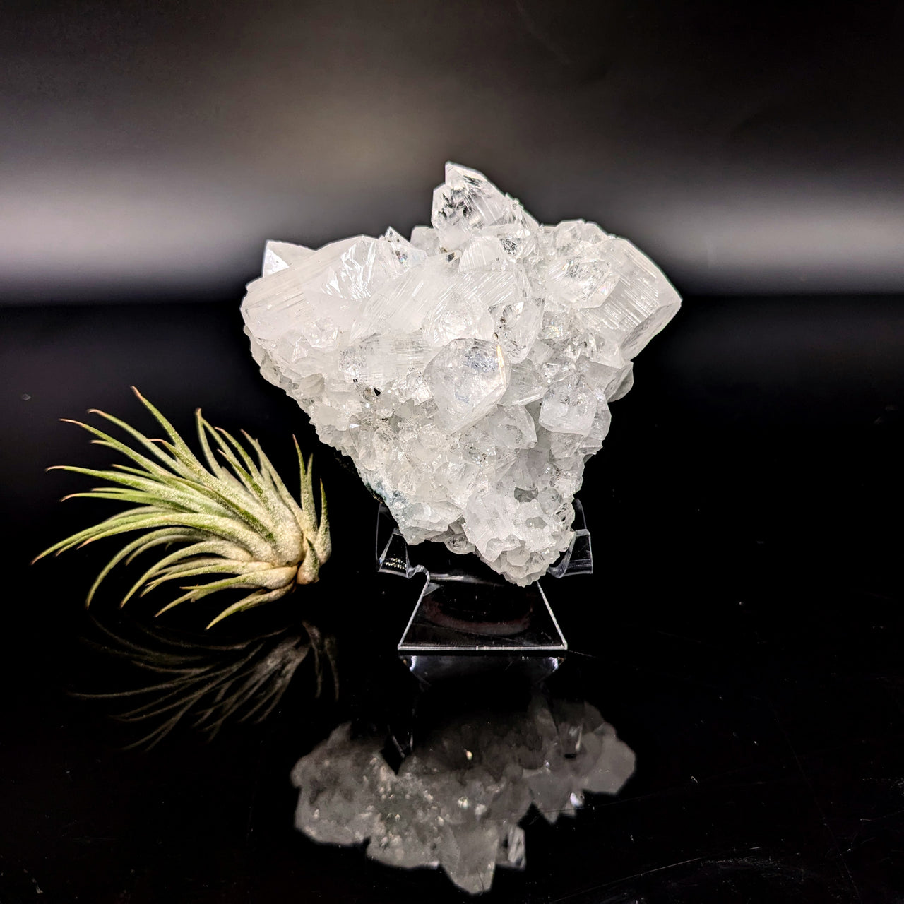 Diamond Apophyllite 3.4" Natural Cluster #LV6452