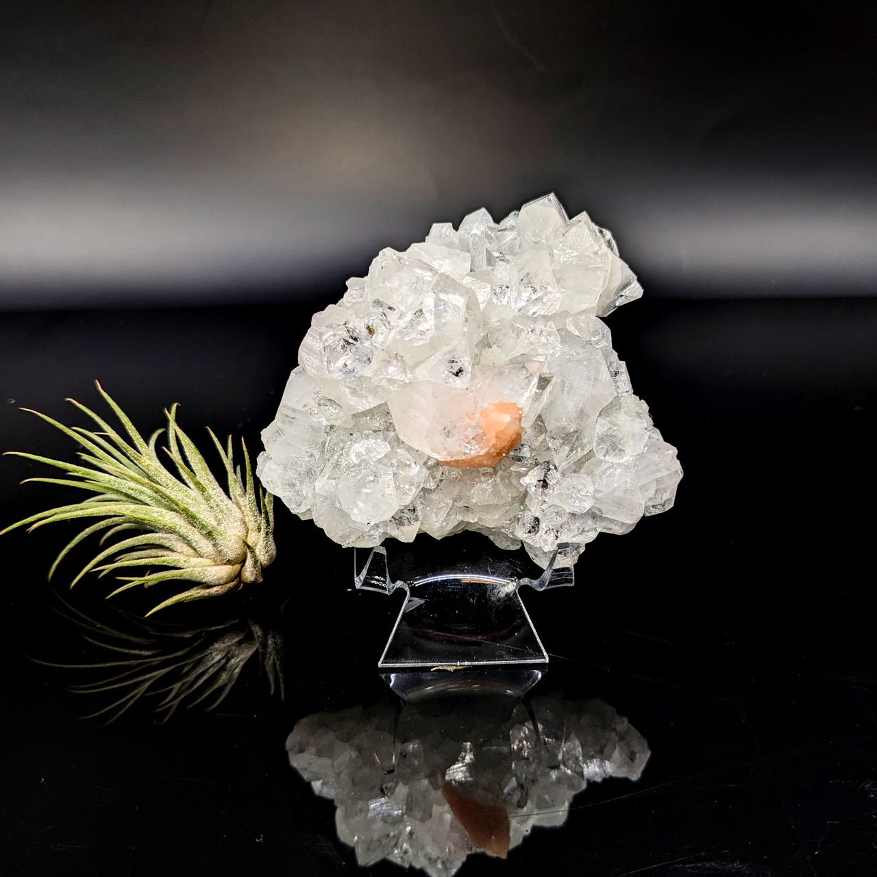 Diamond Apophyllite 3.3" Natural Cluster #LV6453