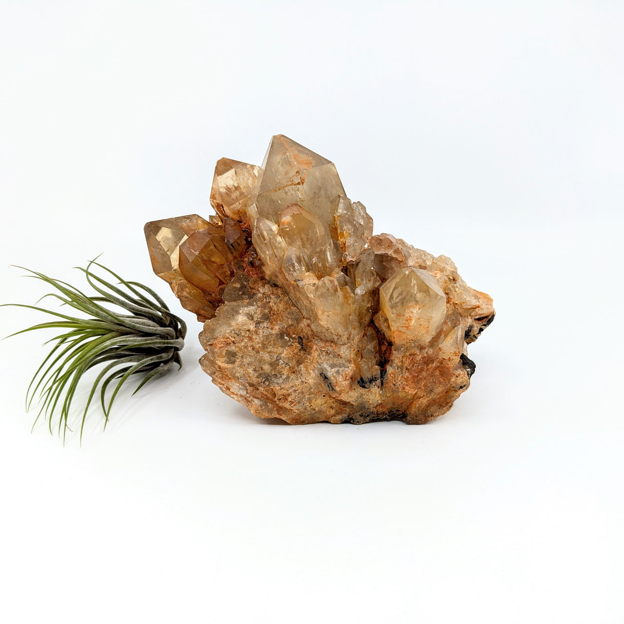 Congo Citrine 6" Natural Cluster #LV6455