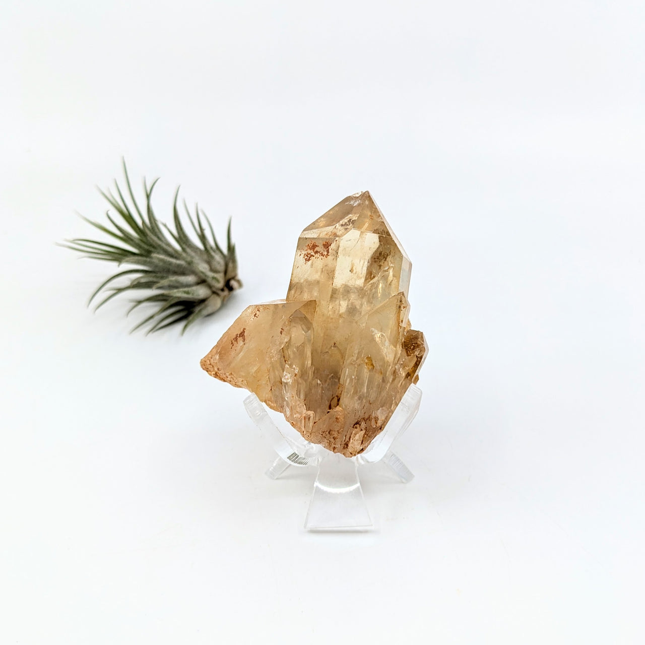 Congo Citrine 2.3" Natural Cluster #LV6462