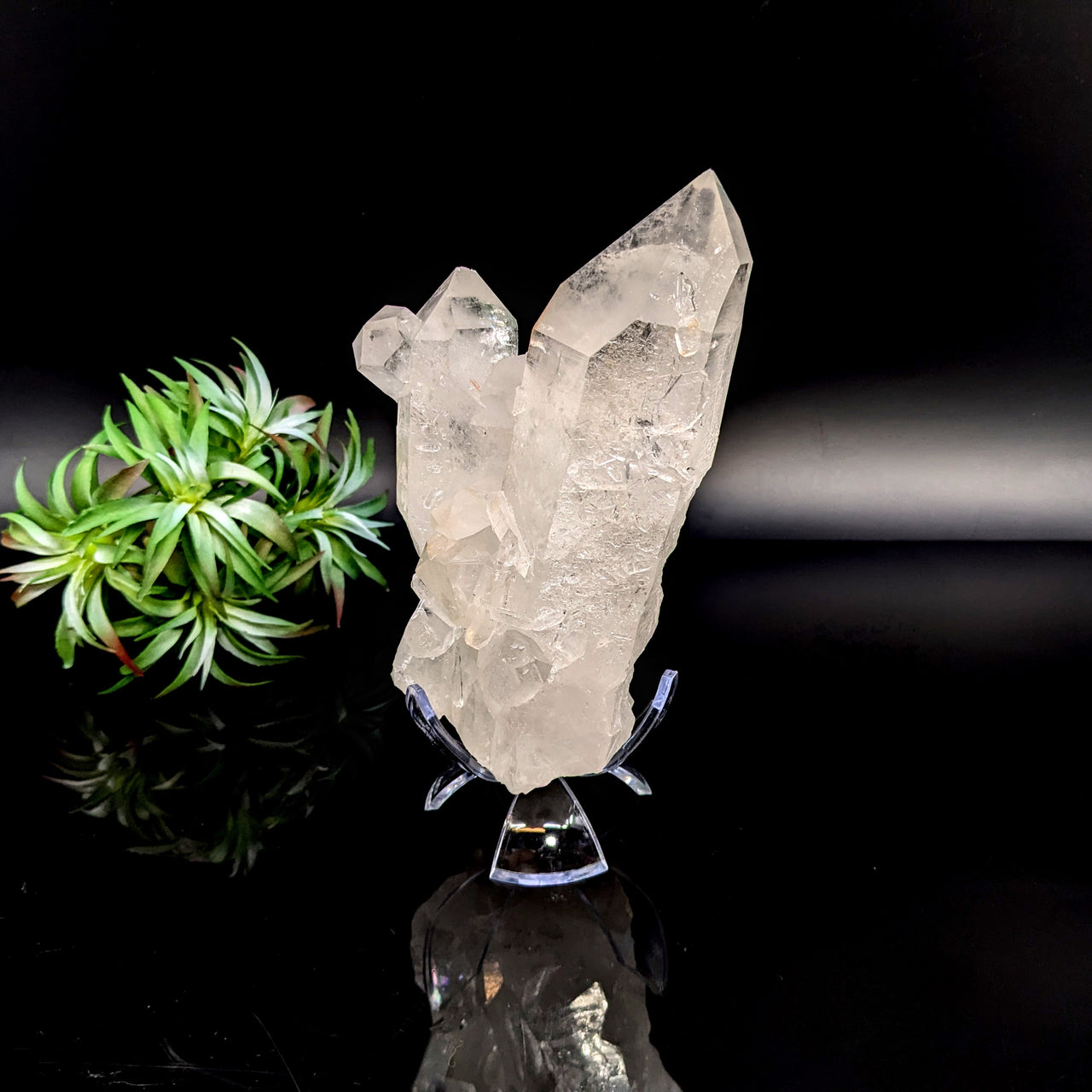 Clear Quartz 6.3" Natural Cluster #LV6465