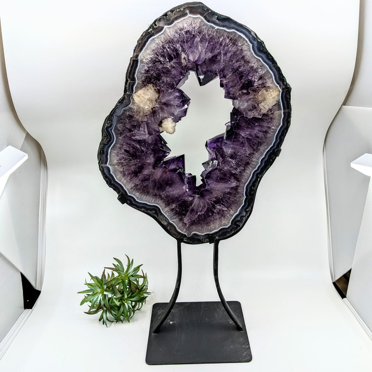 Amethyst Geode 14.3" Ring Specimen on Stand #LV6480